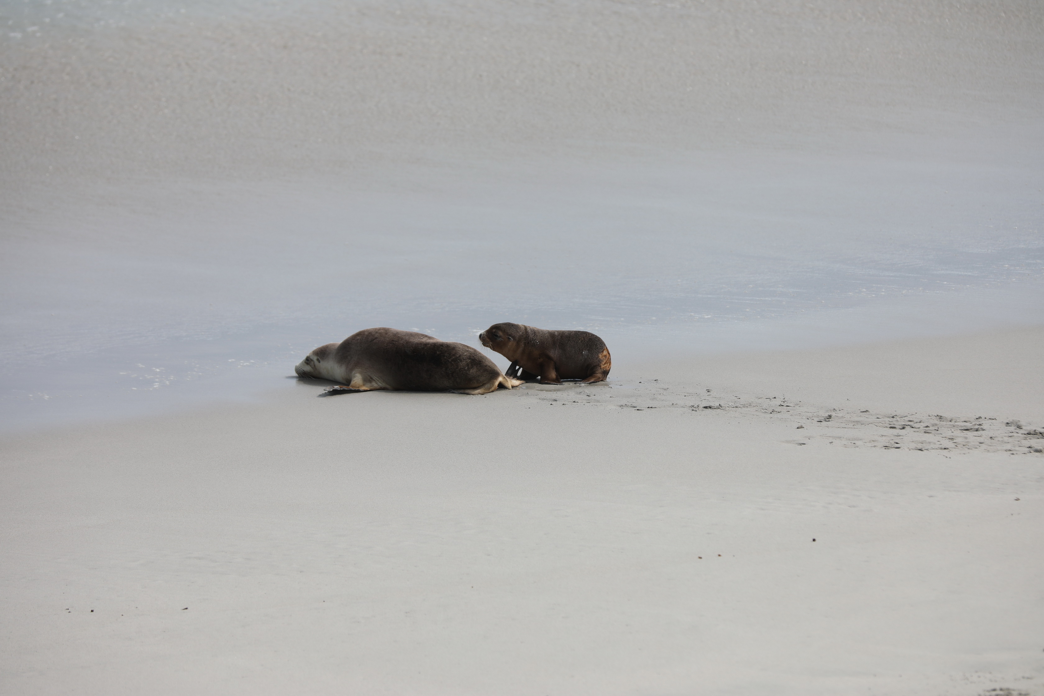 2019 09 29 13 50 21 Canon EOS 5D Mark IV 0039